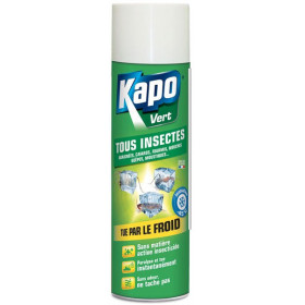 Aerosol all insects givrant effect - 500 ml - Kapo Green