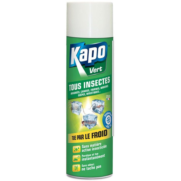 Aerosol all insects givrant effect - 500 ml - Kapo Green