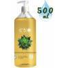 Dry hair shampoo aloe jojoba aloe - 500ml - this'bio