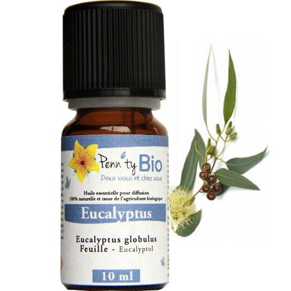 Offer diffusion - organic essential oil of eucalyptus globulus 10 ml