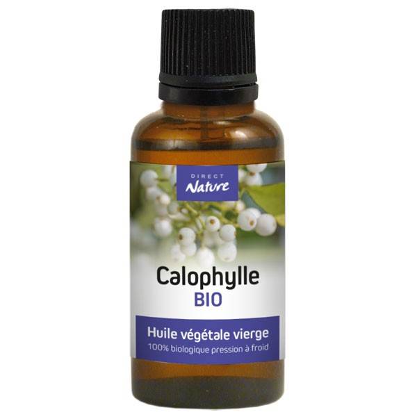 Organic Calophylle Plant Oil – 30 ml – Direct Nature