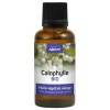 Huile végétale de Calophylle Bio – 30 ml – Direct Nature