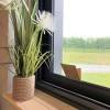 Window ecofly flies trap - mood view 1