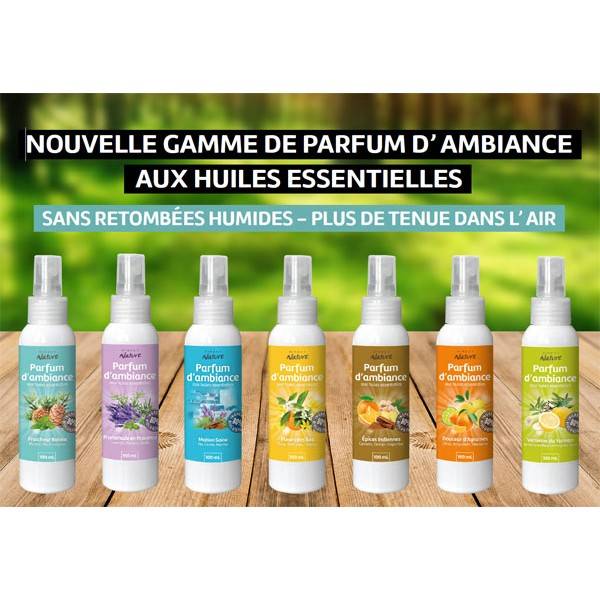 Ambient fragrance range Direct Nature - 100 ml