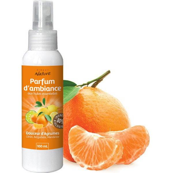 Spray Citrus pain – 100 ml - Direct Nature