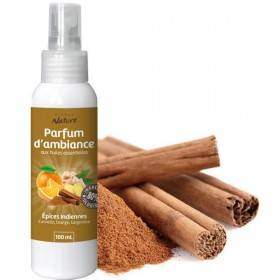 Spray Indian Spices – 100 ml - Direct Nature