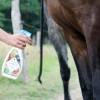 Application d'Alt'o Zinsect spray sur cheval - Vue 2