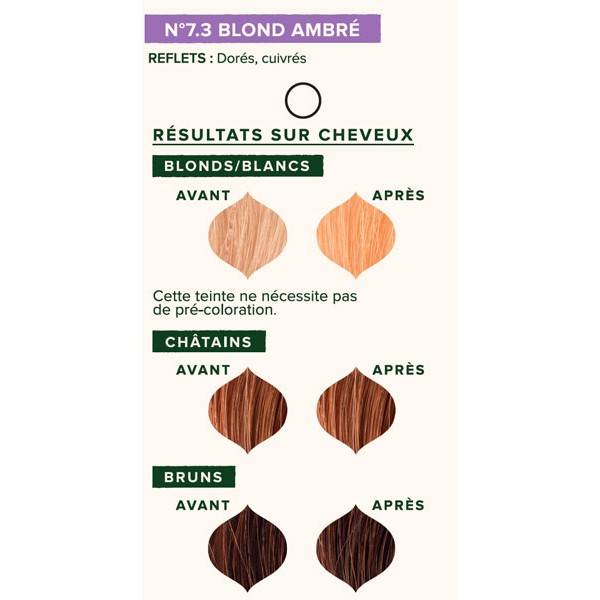 Nuancier individuel pour la coloration végétale Blond Ambré 7.3 - 100 gr - Emblica