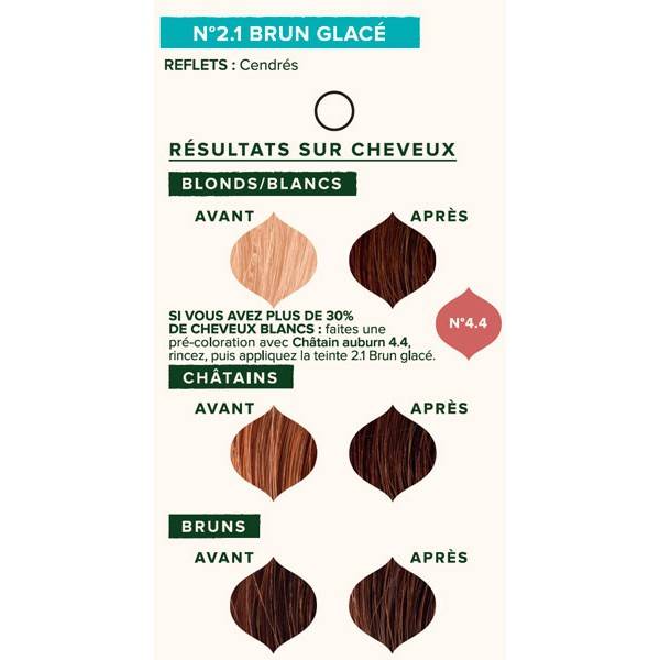 Nuancier individuel pour la coloration végétale Brun glacé n°2.1 - 100 gr - Emblica