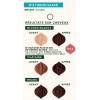 Individual shade for vegetable coloring Ice Brown n°2.1 - 100 gr - Emblica