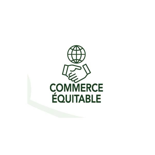 Logo Commerce équitable pour la Coloration végétale Brun glacé n°2.1 - 100 gr - Emblica