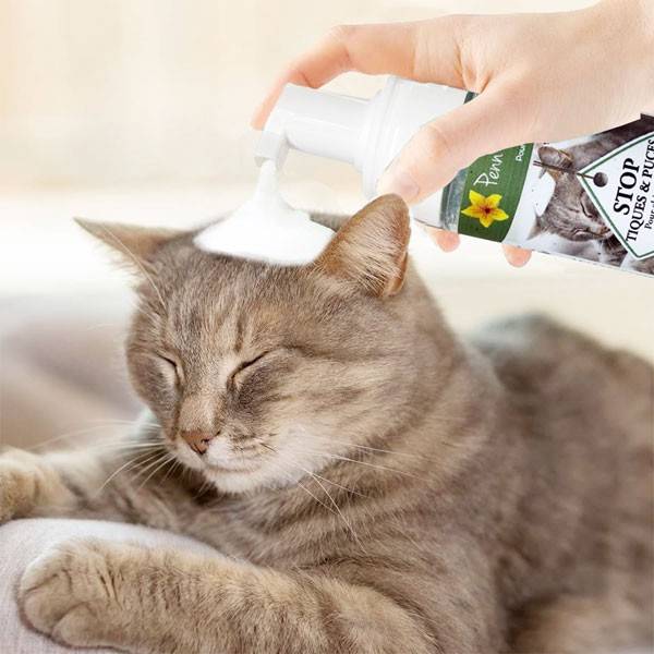 Application of stop chips and ticks on a cat