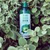 Organic fresh mint shower gel and organic Aloe vera - 250 ml - Je suis Bio - Picture of atmosphere