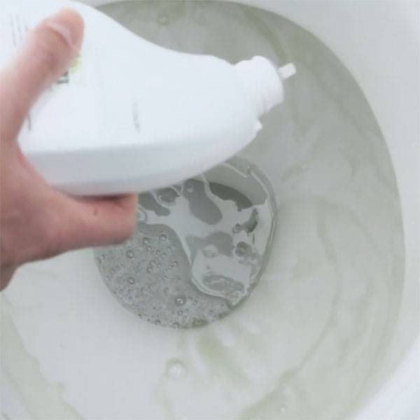Application of toilet detartant gel Arcyvert