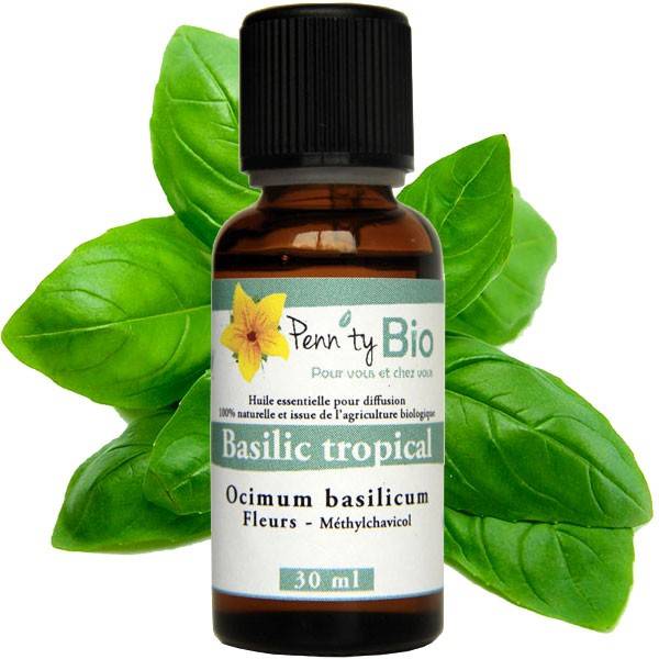 Basilic Bio - Flower Plant – Essential Oil Penntybio - 30 ml