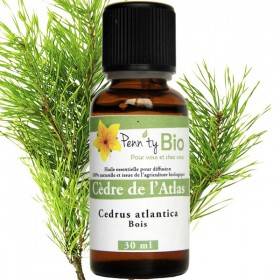 Cedar Atlas Bio - Wood - Essential oil Penntybio - 30 ml