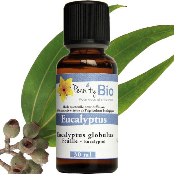 Eucalyptus globulus Bio - Feuilles - Huile essentielle Penntybio 30 ml