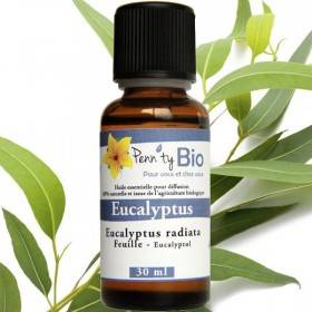 Eucalyptus radiata Bio - Feuilles - Huile essentielle Penntybio 30 ml