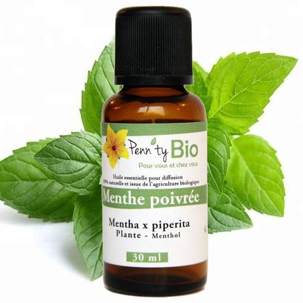 Organic Pepper Mint - Plant - Essential Oil Penntybio 30 ml