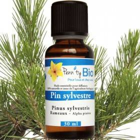 Pin sylvestre Bio - rameaux - Huile essentielle Penntybio 30 ml