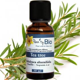 Tea tree Bio - Sheet - Essential Oil Penntybio 30 ml