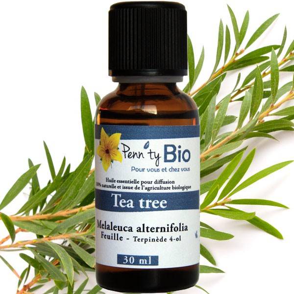 Tea tree Bio - Feuille - Huile essentielle Penntybio 30 ml