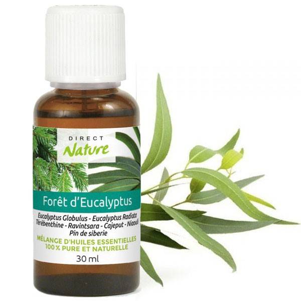 Foret d'eucalyptus – Synergie 30ml – Direct Nature