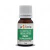 Eucalyptus radiate AB - Leaves - 10 ml - Essential oil Aroflora