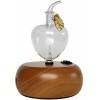 Diffuser apple amber base light wood - 100 m2