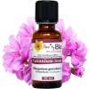 Geranium rosat of Egypt Bio - Flower Sommities - Essential Oil Penntybio - 30 ml bottle
