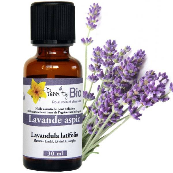 Lavender aspic Bio - Flowers - Essential Oil Penntybio - 30 ml bottle