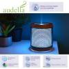 Audelia burner diffuser - 50 m2 - Innobiz - View 1