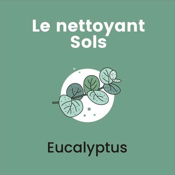 Parfum naturel Eucalyptus pour la recharge nettoyant sols Pure Pills