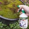 Application de l'anti-larves et moustiques prêt à l'emploi penntybio dans une eau stagnante