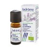 Organic thyme thymol - 10 ml - Aerial part - Essential oil