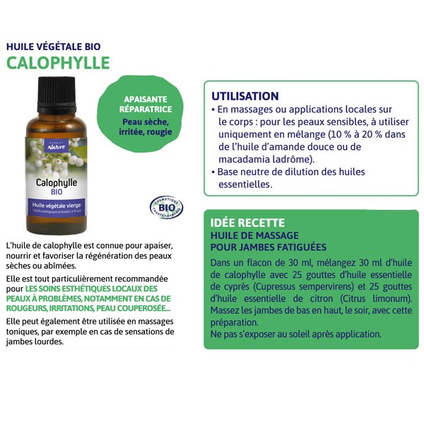 Quick fact sheet on organic Calophyll oil Direct Nature