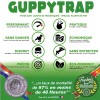 Guppytrap - Avantages du piège à larves de moustiques écologique