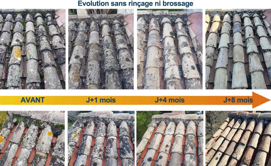 Evolution traitement anti-mousses toitures avec Bionetal