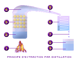 distilation