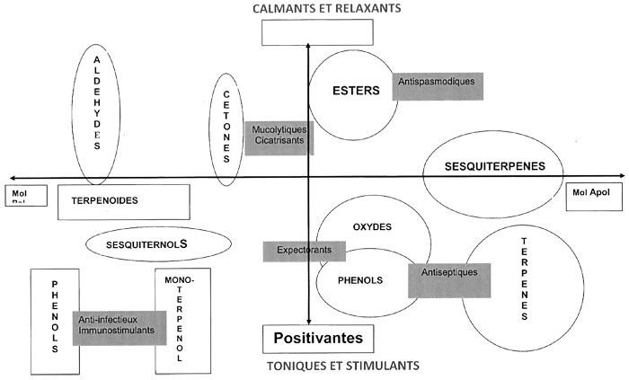 Schéma structure/activités des huiles essentielles
