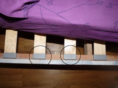 bed bug and box spring slats