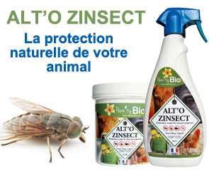 Répulsif ALT'O ZINSECT, la protection pour votre animal