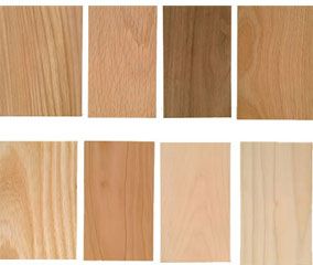 The main types of wood around us