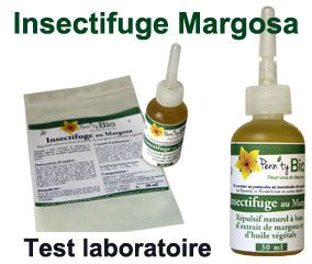 Insect repellent test Margosa extract