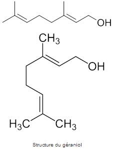 Structure chimique du géraniol
