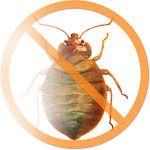 bed bug protection cover