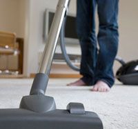 Vacuuming against black carpet beetle