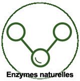 Principes actifs : les enzymes naturelles