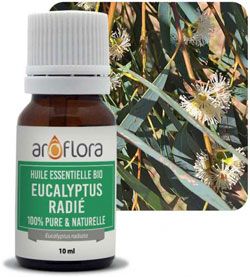 Essential oil of eucalyptus radiata Aroflora