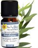 Organic eucalyptus radiata essential oil